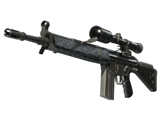 G3SG1（StatTrak™） | 黑暗豹纹 (略有磨损)