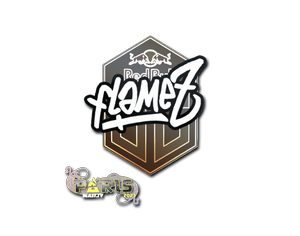 印花 | FlameZ | 2023年巴黎锦标赛