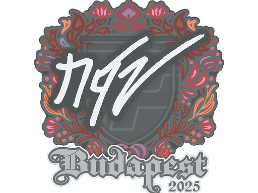 印花 | NQZ | 2025年布达佩斯锦标赛