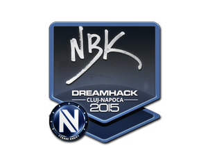 印花 | NBK- | 2015年卢日-纳波卡锦标赛