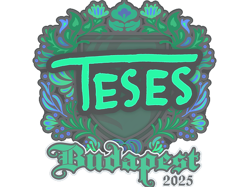 印花 | TeSeS | 2025年布达佩斯锦标赛
