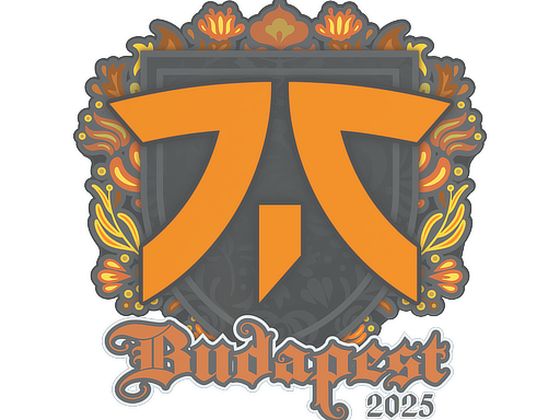 印花 | Fnatic | 2025年布达佩斯锦标赛