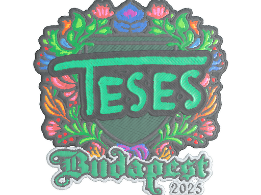 印花 | TeSeS（刺绣）| 2025年布达佩斯锦标赛